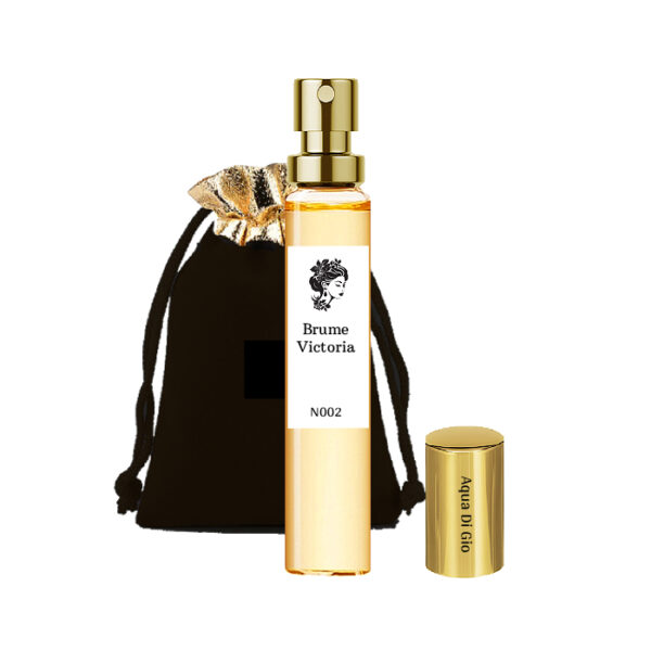 Brume Victoria N002 – Le secret